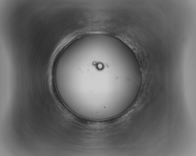 X0000111930293200908031123