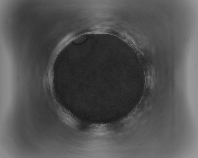 X0000111930295200908031123