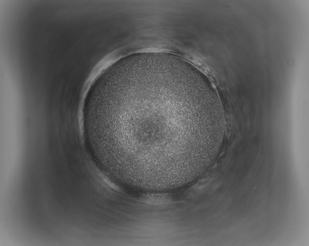 X0000111930296200908031123