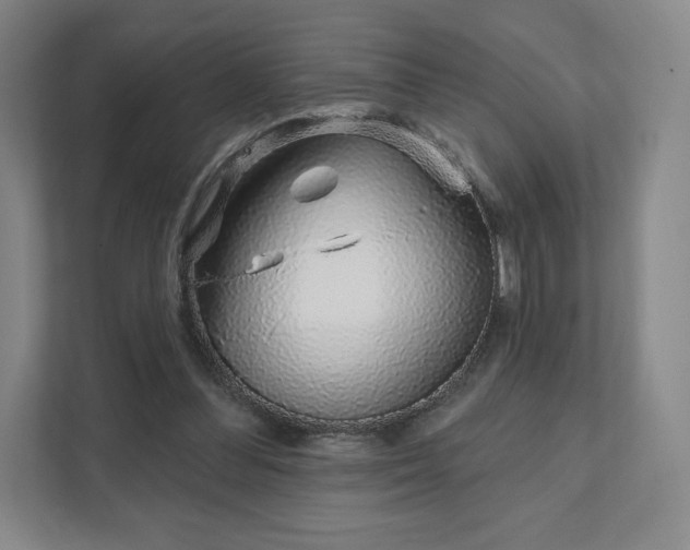 X0000111930300200908031123