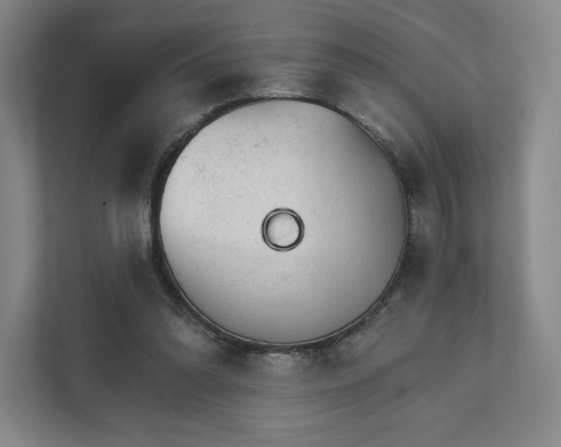 X0000111930302200908031123