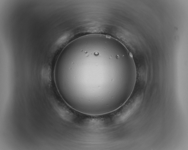 X0000111930303200908031123