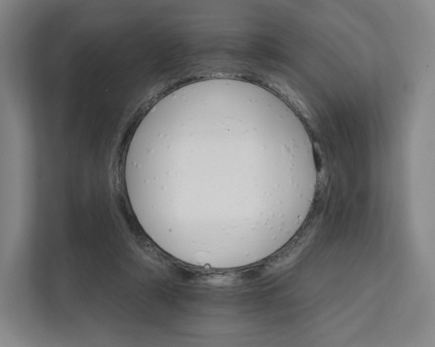 X0000111930306200908031123