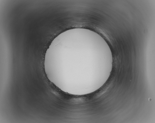 X0000111930307200908031123