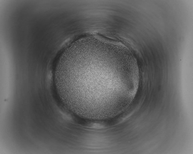 X0000111930308200908031123