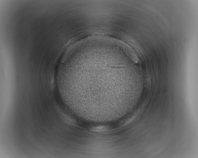 X0000111930312200908031123