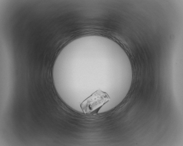 X0000111930325200908031123