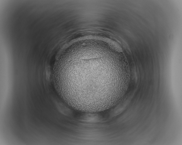 X0000111930328200908031123