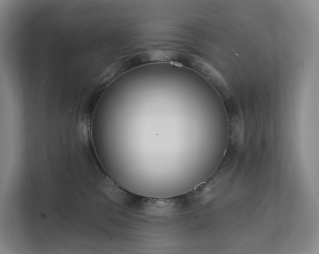 X0000111930329200908031123