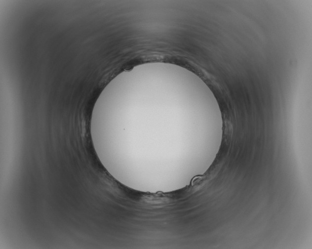 X0000111930331200908031123