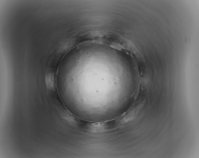 X0000111930335200908031123