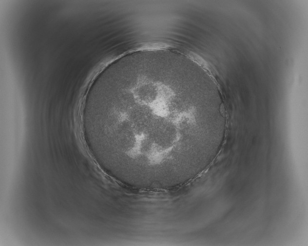 X0000111930337200908031122