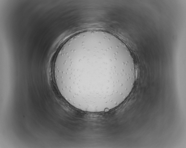 X0000111930339200908031122