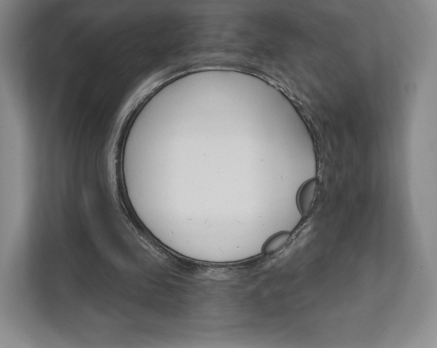 X0000111930341200908031122