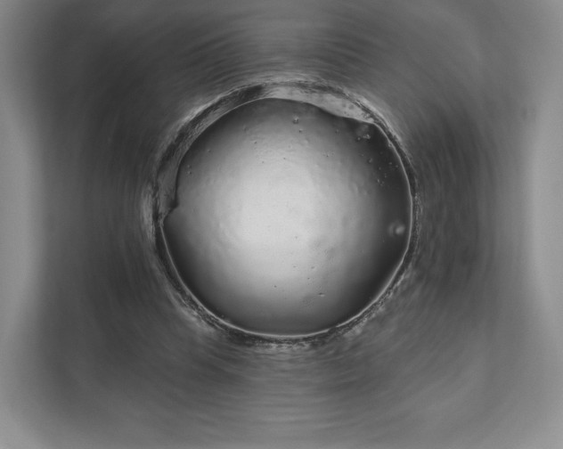 X0000111930345200908031122