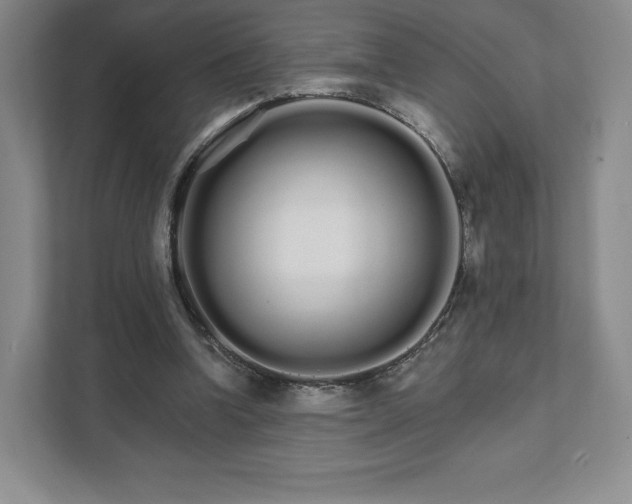 X0000111930346200908031122