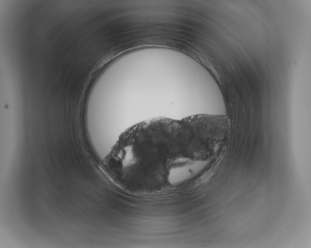 X0000111930349200908031122