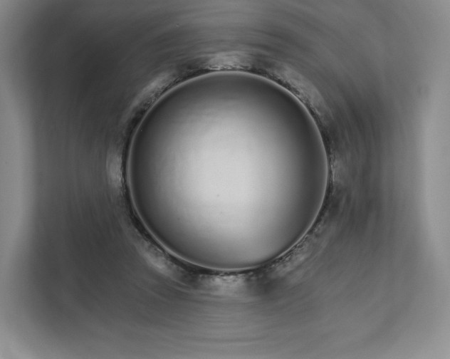 X0000111930353200908031122