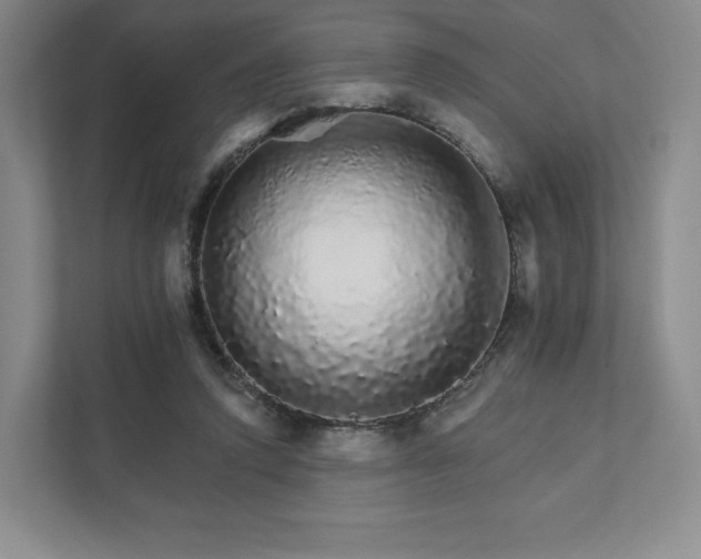 X0000111930354200908031122