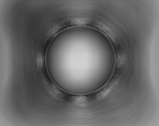 X0000111930355200908031122