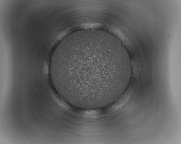 X0000111930357200908031122