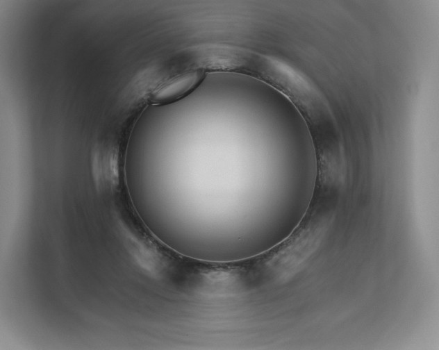 X0000111930358200908031122