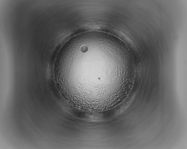 X0000111930359200908031123