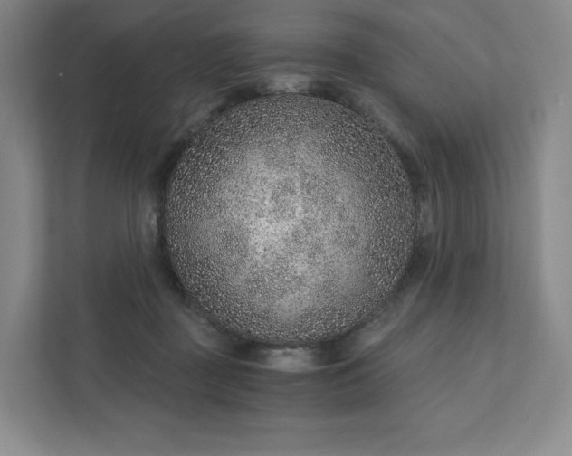 X0000111930363200908031123