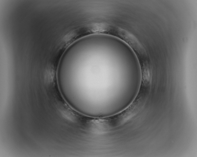 X0000111930367200908031123