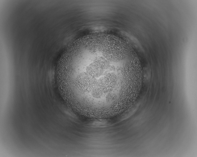 X0000111930369200908031123