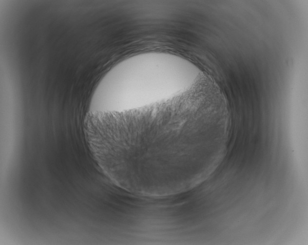 X0000111930371200908031123