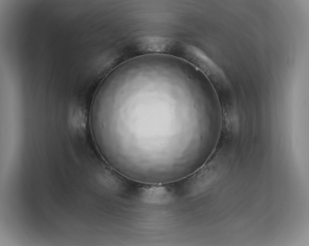 X0000111930374200908031123