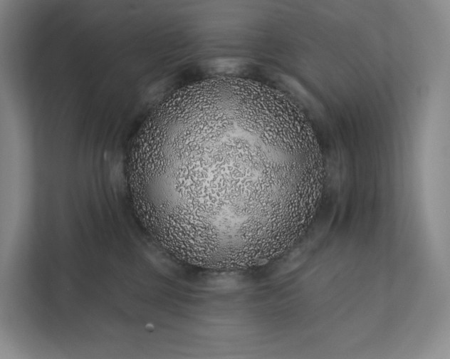 X0000111930377200908031123