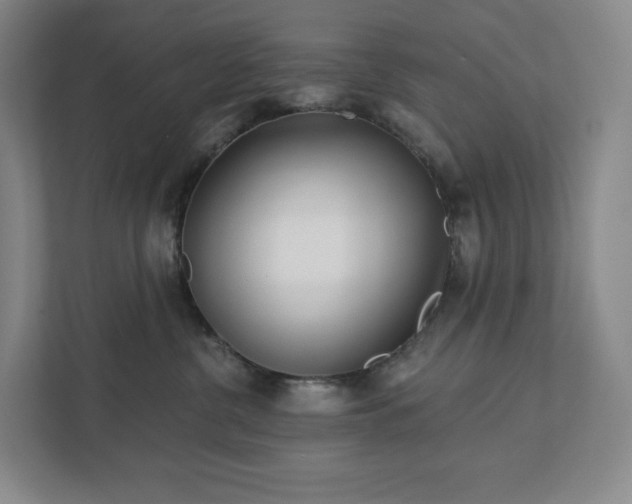 X0000111930380200908031123