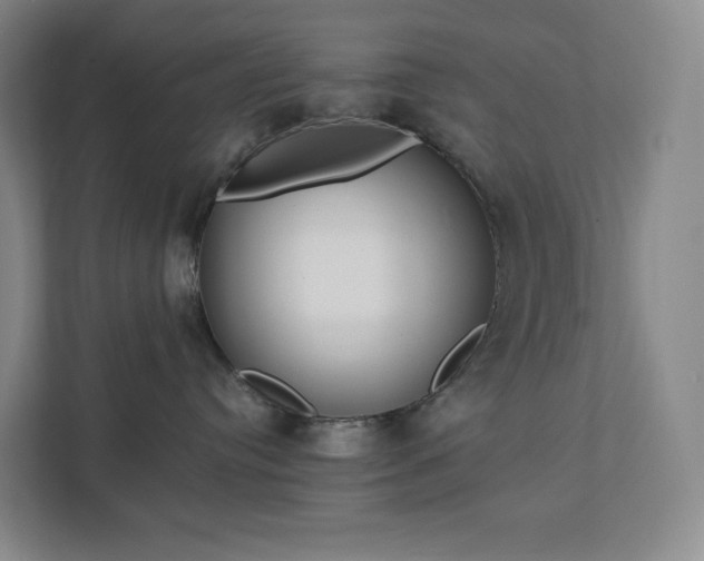 X0000111930384200908031123