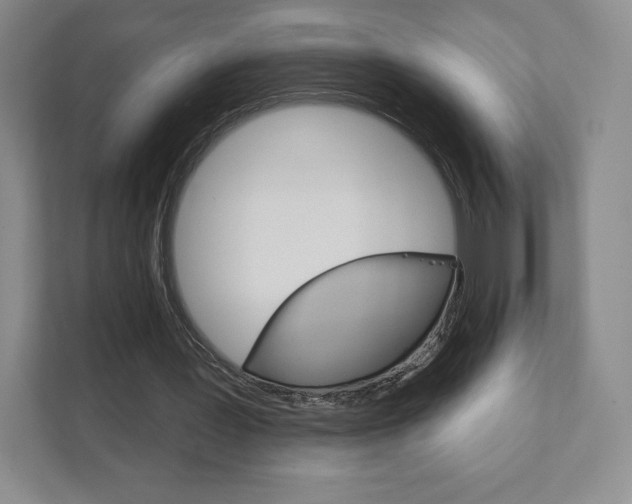 X0000111930387200908031122