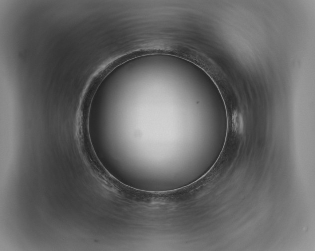 X0000111930388200908031122