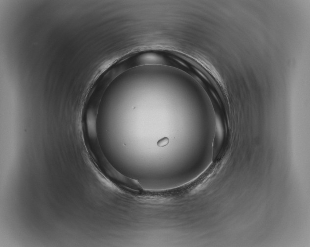 X0000111930389200908031122