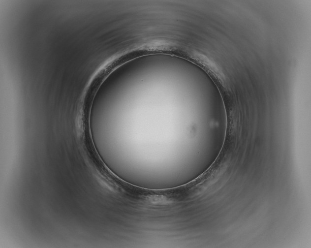 X0000111930392200908031122