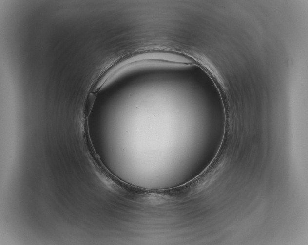 X0000111930393200908031122