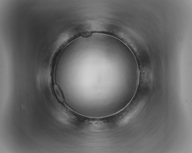 X0000111930395200908031122