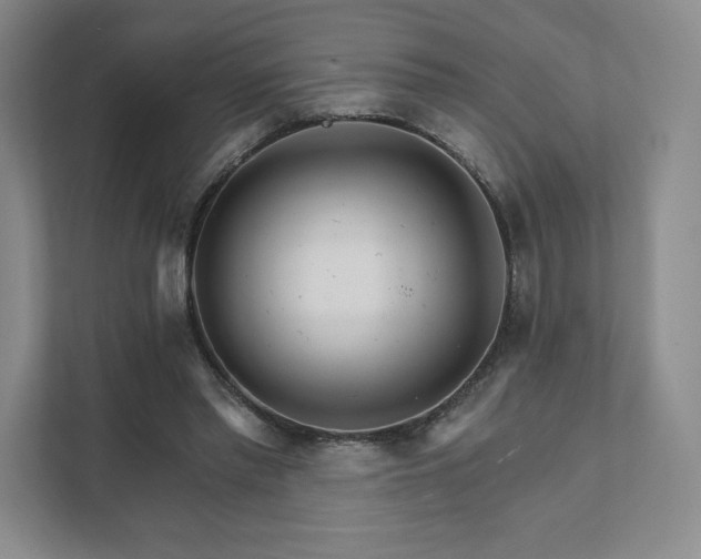 X0000111930397200908031122