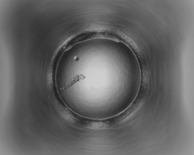 X0000111930399200908031122