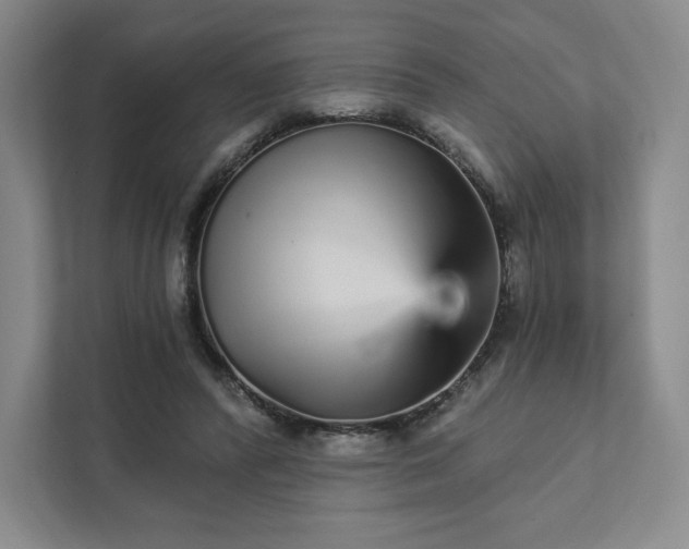 X0000111930400200908031122