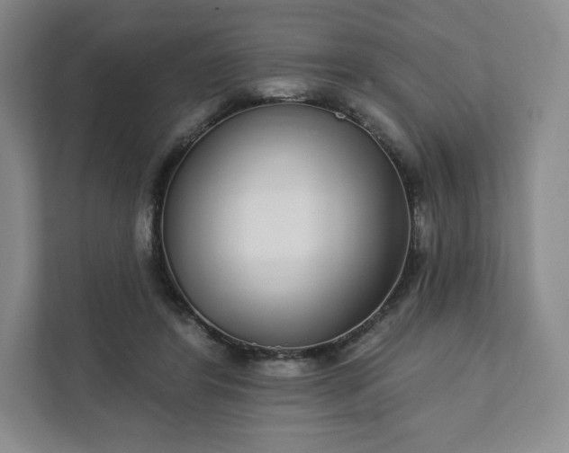 X0000111930404200908031122