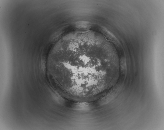 X0000111930409200908031122