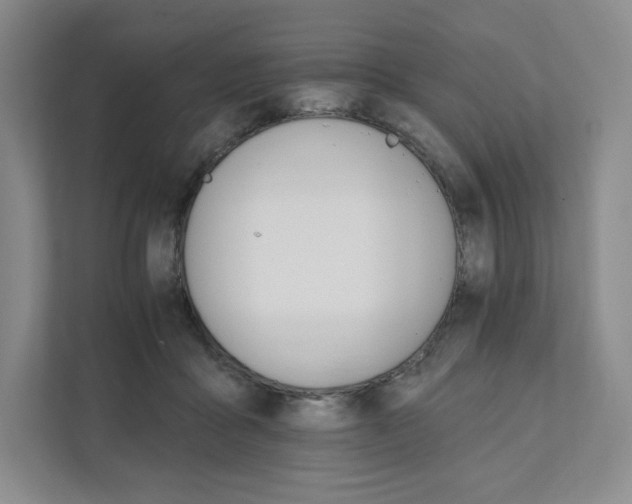 X0000111930411200908031122