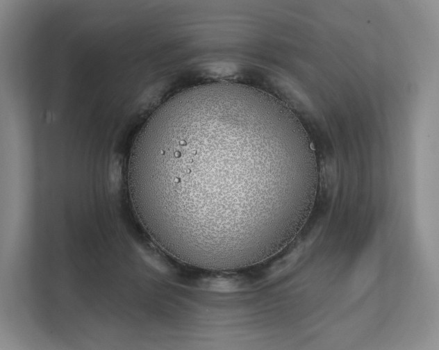 X0000111930412200908031122