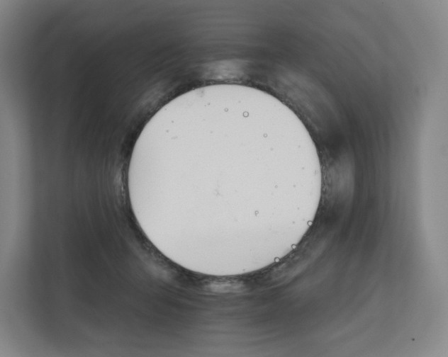 X0000111930415200908031122