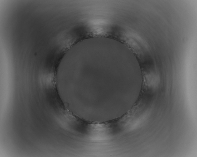 X0000111930419200908031122